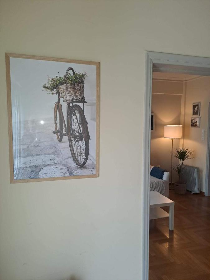 Central Museum Comfort Appartment Αθήνα Εξωτερικό φωτογραφία